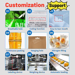 DZB-250S Niedriger Preis Manuelle Automatische Schokolade Schokoriegel Cookie <span class=keywords><strong>Flow</strong></span> Pack Horizontale Lebensmittel Kissen Verpackungs maschine - Product Image 3