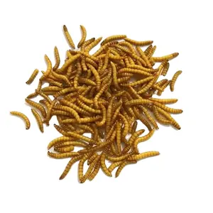 Balıkçılık yüksek protein gıda az hasta % kedi maması ıslak hammadde sağlıklı organik buğday kepeği pollard kuru mealworm