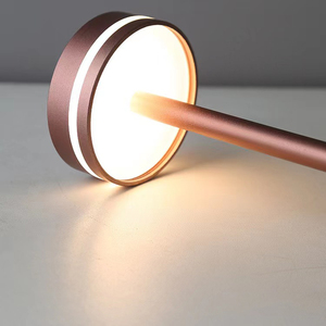 Nordic Simple Modern Metal Flexible Battery-Powered Desk <strong>Lamp</strong> <strong>Charge</strong> and Plug Dual Purpose Bedroom Ambiance <strong>Lamp</strong> - Product Image 2