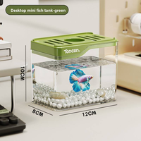 Aquarium écologique créatif en verre pour bureau, petit terrarium carré avec paysage pour tortue et betta
