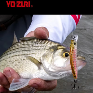 YO-ZURI Giappone 3DR-<span class=keywords><strong>X</strong></span> Esca Affondante Mino per Pesca in Mare, Esca per Bass a Lunga Gittata - Product Image 5