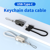 Kabel Data Pengisi Daya Tipe-C Model Gantungan Kunci untuk Ponsel dan Power Bank Harga Pabrik