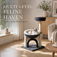 Arbre à chat en bois durable et minimaliste, avec arche, griffoir en corde de sisal, panier en peluche et perchoir supérieur, en carton, facile à assembler, pour chats de taille moyenne, vente en gros