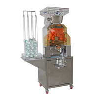 Commerciële Sapcentrifuge Automatische Sinaasappelpers Machine Geheel