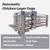 Volaille Poulet Ferme H Type Animal Équipement Automatique 10000 Oiseaux Poules Batterie Couche Oeufs Ponte Elevage Poulet Cage à Vendre
