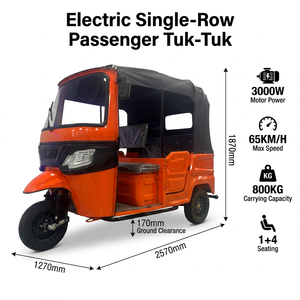 Batería de Litio de 72V, Gran Capacidad de Carga, Batería de Litio de Largo Alcance, Tuk Tuk Eléctrico para Entrega en Mercados de Verduras - Product Image 2