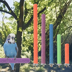Station <span class=keywords><strong>de</strong></span> perchoir <span class=keywords><strong>pour</strong></span> oiseaux <span class=keywords><strong>de</strong></span> compagnie <span class=keywords><strong>perroquet</strong></span> <span class=keywords><strong>jouet</strong></span> à mâcher nettoyeur <span class=keywords><strong>de</strong></span> dents griffe <span class=keywords><strong>de</strong></span> chinchilla outil <span class=keywords><strong>de</strong></span> meulage bâton en bois fixe - Product Image 2
