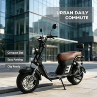 Vente en gros OEM : Trottinette électrique à pneus larges 60V 2000W, batterie LFP 20.8Ah, longue autonomie, Citycoco E-Scooter pour fournisseurs B2B