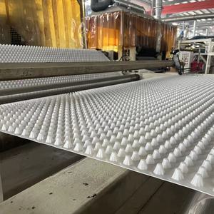 Panneau <span class=keywords><strong>de</strong></span> drainage en plastique <span class=keywords><strong>de</strong></span> 12 mm d'épaisseur avec tissu filtrant intégré pour <span class=keywords><strong>toit</strong></span> végétal et jardinière - Product Image 1