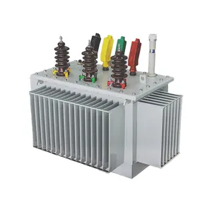 Transformateur de puissance immergé dans l'huile 630kVA avec tension primaire 6kV 6.3kV 10kV 10.5kV 11kV et secondaire 400V