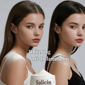 植物ベースの痛みを軽減サリシンエキス粉末より良いあなたのために - Product Image 2