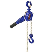 0.75T -- 1T 6M levier de levage robuste palan à chaîne main levier manuel bloc grue palan de levage