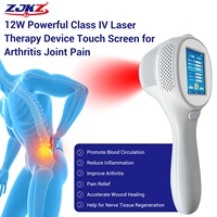 Appareil de photobiomodulation laser portatif de classe 4, thérapie par lumière infrarouge pour le soulagement des douleurs musculaires et articulaires chez les équidés et les animaux de compagnie
