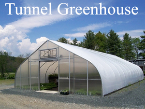 <span class=keywords><strong>Acheter</strong></span> Serre <span class=keywords><strong>De</strong></span> Yutuo Film Mince Agricole Tunnel Serre Multi Span pour Planter Légumes/<span class=keywords><strong>Tomates</strong></span>/Poivrons/Fruits - Product Image 5