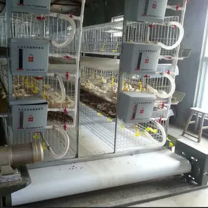 Навозные ленты для куриной клетки навозной конвейерной машины