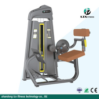Équipement de musculation professionnel pour salle de sport, équipement de musculation, machine d'extension dorsale