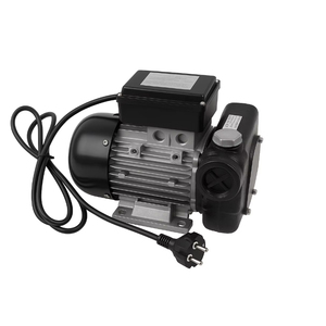Pompe à <span class=keywords><strong>carburant</strong></span> électrique robuste IP54 110V 220V en fonte à aubes pour transfert de diesel, kérosène et huile et distribution industrielle - Product Image 4