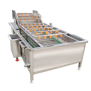 Veget fruit wash machine agico fruit brush spray and cleaning machine vegetable fruit washing disinfection