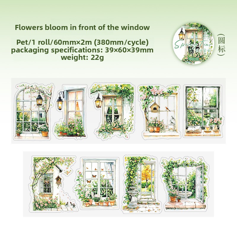 C Flores frente a la ventana verde