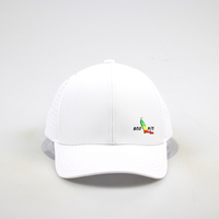 Chapeaux de golf personnalisés à 6 panneaux avec logo brodé Polyester imperméable perforé au laser Style sportif Motif de fruits Tissu éponge en jersey