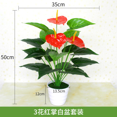 12 têtes, 3 fleurs, Anthurium (avec pot)