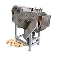 Machine automatique de traitement de coquille de noix de cajou décortiqueuse manuelle/automatique décortiqueuse efficace de noix de cajou SENYO 40-énergie de capacité de 200 kg/h