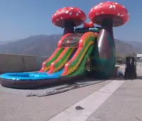 Thương Mại Được Sử Dụng Ngoài Trời Đảng Trượt Nước Inflatable Nước Slides Sân Sau Inflatable Funworld Inflatables