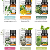 Ensemble d'huiles essentielles aromathérapeutiques hydrosolubles de 10 ml, 28 parfums, huile parfumée multi-usages pour diffuseur, voiture, maison, fabrication de bougies