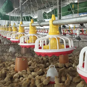 Livestock Husbandry Poultry Feeding Drinking Equipment for Broiler Farm