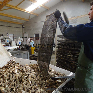 Kantong Jaring Tiram dengan Pelampung Udara dan Klip Logam untuk Budidaya Tiram - Product Image 6