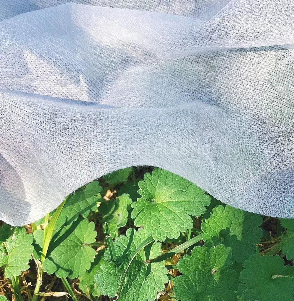 Spunbond non woven,white color Agriculture frost fleece garden fleece winter frost cloth plant cover
