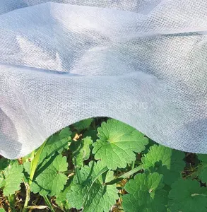 Spunbond Niet Geweven, Witte Kleur Landbouw Frost Fleece Tuin Fleece Winter Vorst Doek Plant Cover