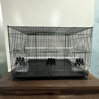 Pet Perruches Perroquet Canaries Cages Verser Oisoux Poules Pondeuse Grande Cage À Oiseaux G-201120-6 Vente