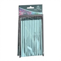XINGXIN Ensemble de 12 crayons de couleur argentés pour le dessin et l'esquisse