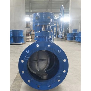 Longyao Shuangyong Valve Manufacturing Co., Ltd. Vanne Hémisphérique Excentrique en Fonte Ductile 500MM Monobloc Type Commutateur - Product Image 3