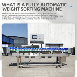 Trieuse de fruits automatique 9 pistes de haute qualité bon prix équipement de tri pour fruits et légumes - Product Image 2