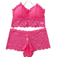 Set Bra Segitiga Gaya Prancis untuk Wanita, Seksi, Berenda, Tanpa Kawat, Punggung Terbuka, Tanpa Bingkai, Dua Potong, Pakaian Dalam Celana Dalam