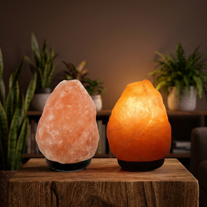Lámpara de Sal del Himalaya 100% Natural, Estilo Feng Shui, Tallada en Rosa, con Interruptor de Intensidad Regulable, Fabricación OEM en Pakistán Disponible - Product Image 1