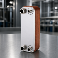 Échangeur de chaleur à plaques brasées SS316L, en cuivre brasé, haute efficacité, 30 plaques, 1 NPT, pour pompe à chaleur, chaudière à bois