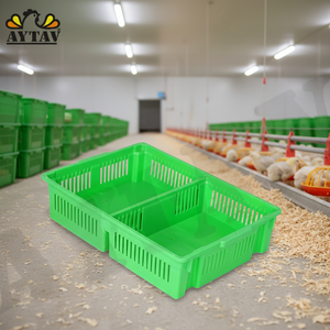 AYTAV Chick Box 2 Sections Solid Bottom New 100 Chick Capacity 1 Year Warranty Super Quality PP -5C +80C Long Service Life - Product Image 3