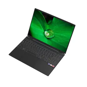 Fabriek 16 Inch 12G Ram 2K Verlicht Toetsenbord Win10 Win11 Online Laptop Veilingen Gaming Laptop Met Gtx