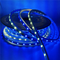 Personnalisé 24V 60LED/M 12V 10mm RGBIC LED Bande SMD5050 Programmable Serpent Lucse Flexible Lumières Alexa BT Usb Paysage