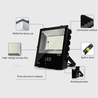 Projecteur LED extérieur haute luminosité pour cours, parcs et jardins, étanche IP66, en aluminium, 10W 20W 30W 50W 100W 150W 200W
