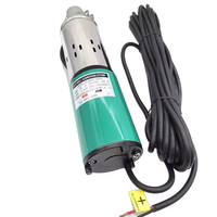 Pompe à vis CC 48/60V, pompe à eau solaire pour l'agriculture, pompe à eau solaire submersible CC pour puits profond