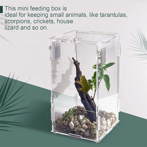 Exhibidor de Acrílico Transparente Personalizado para Reptiles, Terrarios con Cierre de Seguridad, Apto para Tarántulas e Isopodos - Product Image 5
