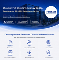 300g 200g 500g Textielafvalwater Kleurverwijdering Ozongenerator voor industriële afvalwaterzuivering en oxidatie met PLC-systeem