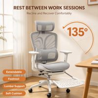 Chaise de bureau ergonomique moderne en maille avec base en alliage d'aluminium, appui-tête réglable, support lombaire et repose-pieds rétractable – Personnalisable