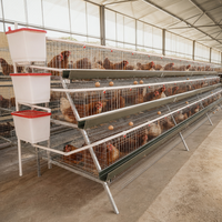 Cage à poules de type A 96 poules, état neuf, cage à volailles pour poulets de chair