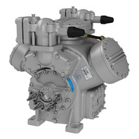 Compresseurs de réfrigérateur 06DR pour Carlyle Carrier 06DR109 06DR013 06DR316 06DR718 06DR820 06DR725 06DR228 06DR337 06DR541