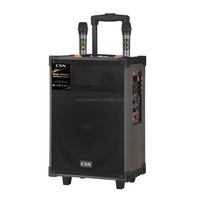 Enceinte karaoké sans fil d'extérieur CSW-12C 12 pouces avec chariot en bois, micro sans fil, boîte à musique HIFI, enceinte DJ pour fêtes avec basses puissantes